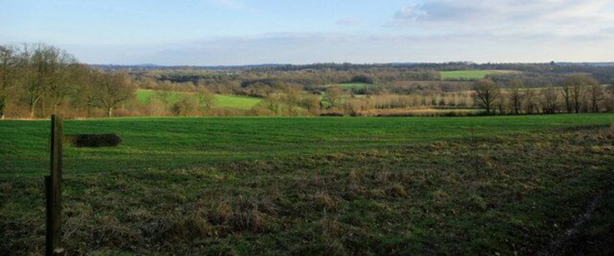View from Wick Wood Viewed from the footpath corner by Wick Wood.