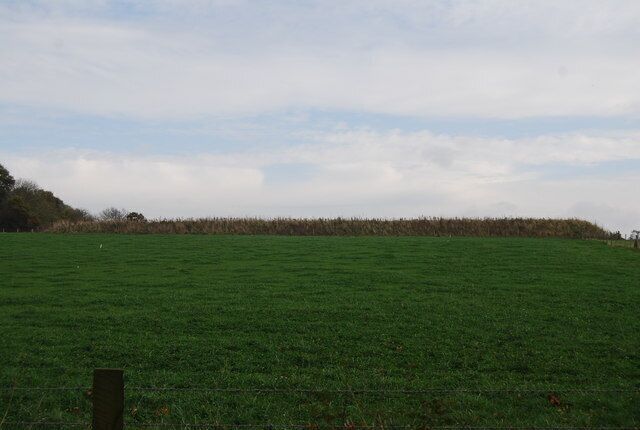 Un campo verde con un poste de madera al frente y una hilera de árboles en el fondo.