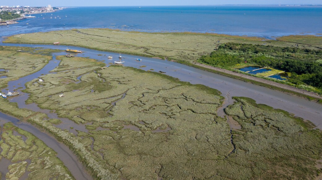 Leigh On Sea National Nature Reserve aerial view of Marshes in Essex