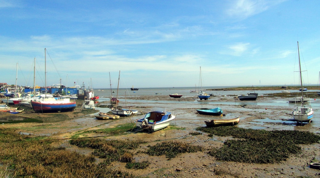 6.5.16 Leigh and Westcliff