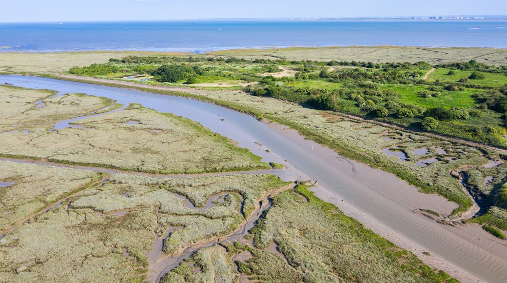 Leigh On Sea National Nature Reserve aerial view of Marshes in Essex
