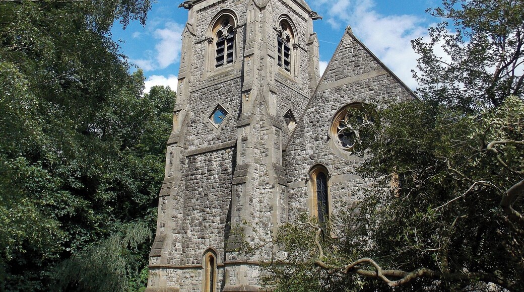 A view from the south-west of Holy Innocents Church, High Beach (or High Beech), Essex, England. Software: file lens-corrected and optimized with DxO OpticsPro 10 Elite and Viewpoint 2, and further optimized with Adobe Photoshop CS2.