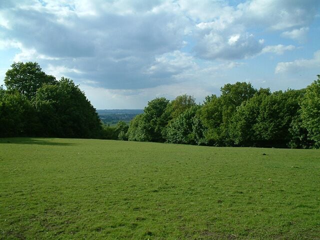 A grassy field with trees and a cloudy sky.
