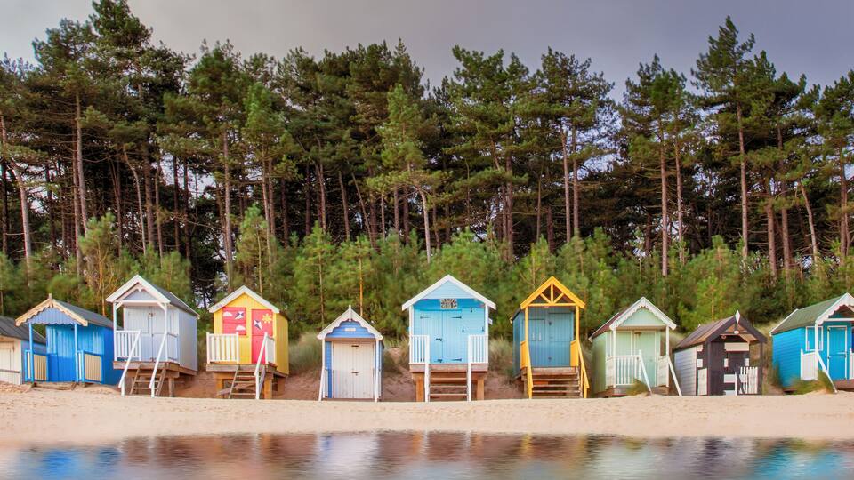 A row of colorful beach huts along a sandy beach with a forest in the background.