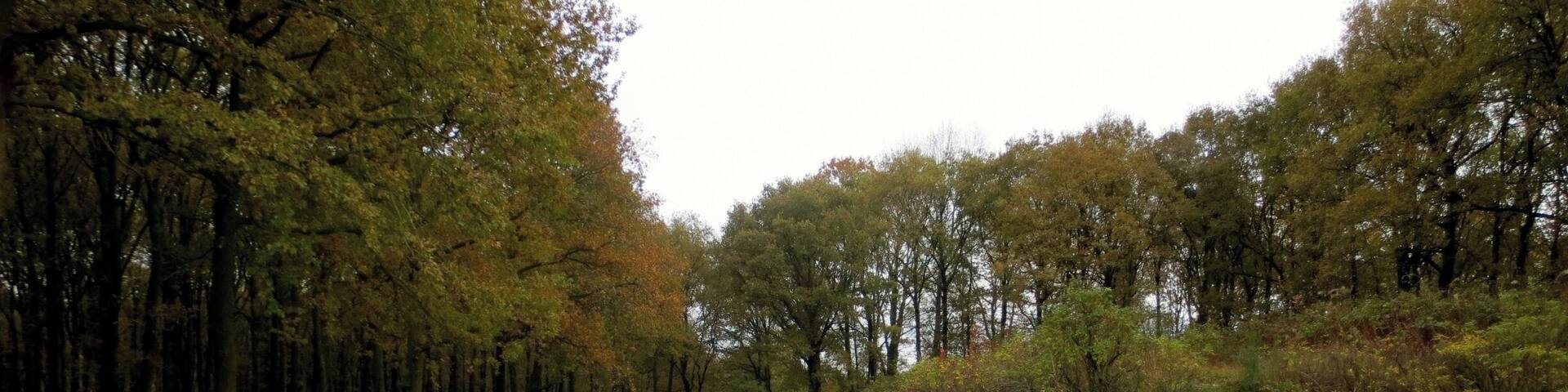 Nationaal Monument Kamp Westerbork
#KidsFun, #architecture