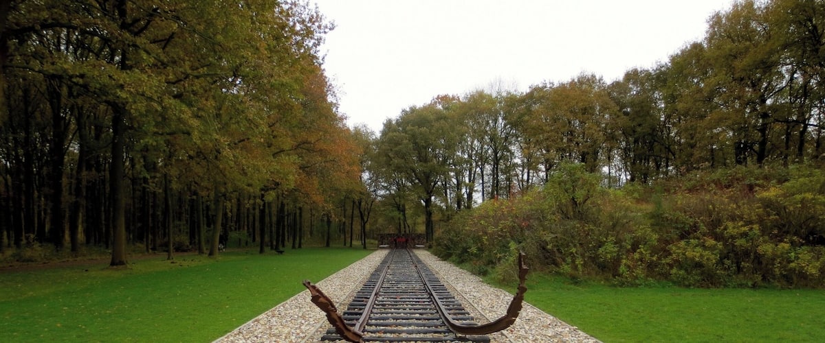 A railway track in a park surrounded by trees and pebbles.