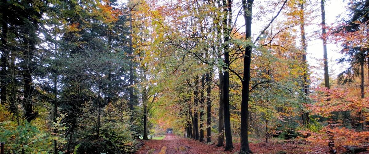 Corno Bianco (3320m slm)
From the summit the view is great on the Alpine ring, the plain and especially on the southern slopes of Monte Rosa. Although the climb present objective difficulties and a long journey, this peak is popular; the great variety of landscape, the lakes, the landscape largely repay the effort.