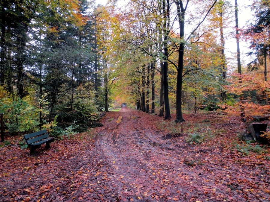 Corno Bianco (3320m slm)
From the summit the view is great on the Alpine ring, the plain and especially on the southern slopes of Monte Rosa. Although the climb present objective difficulties and a long journey, this peak is popular; the great variety of landscape, the lakes, the landscape largely repay the effort.