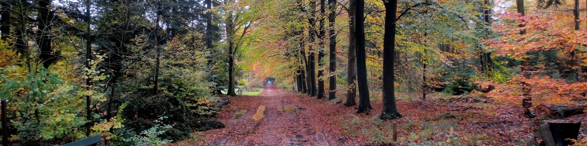 Corno Bianco (3320m slm)
From the summit the view is great on the Alpine ring, the plain and especially on the southern slopes of Monte Rosa. Although the climb present objective difficulties and a long journey, this peak is popular; the great variety of landscape, the lakes, the landscape largely repay the effort.