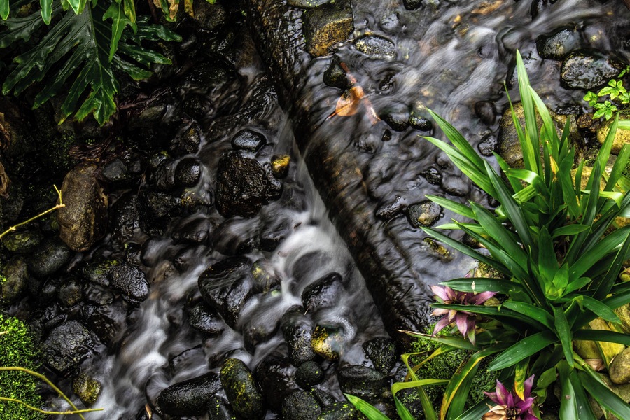 Clear water
