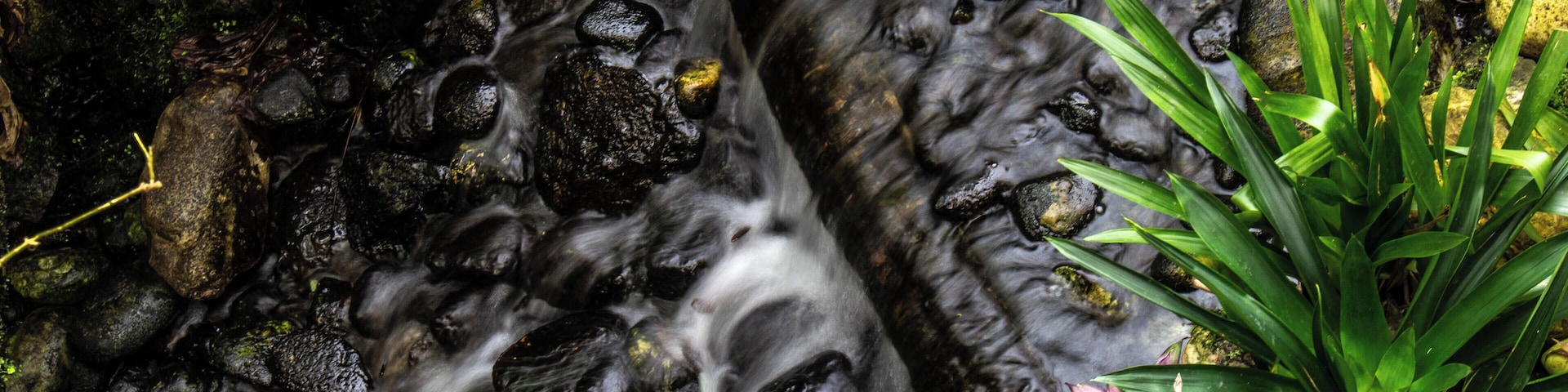 Clear water