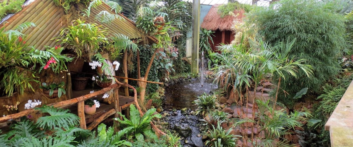 Prachtige Maleisische tuin