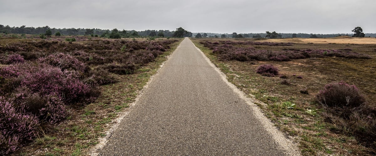 National park in Netherlands.
