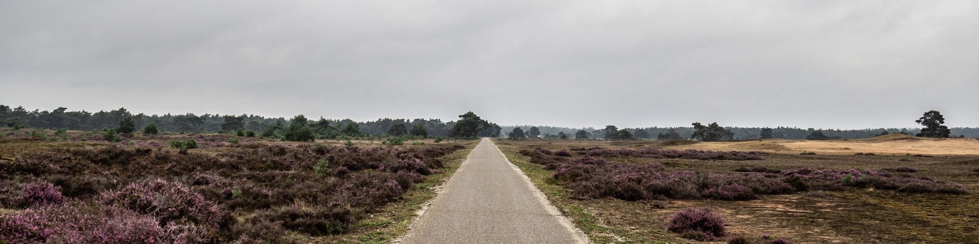 National park in Netherlands.