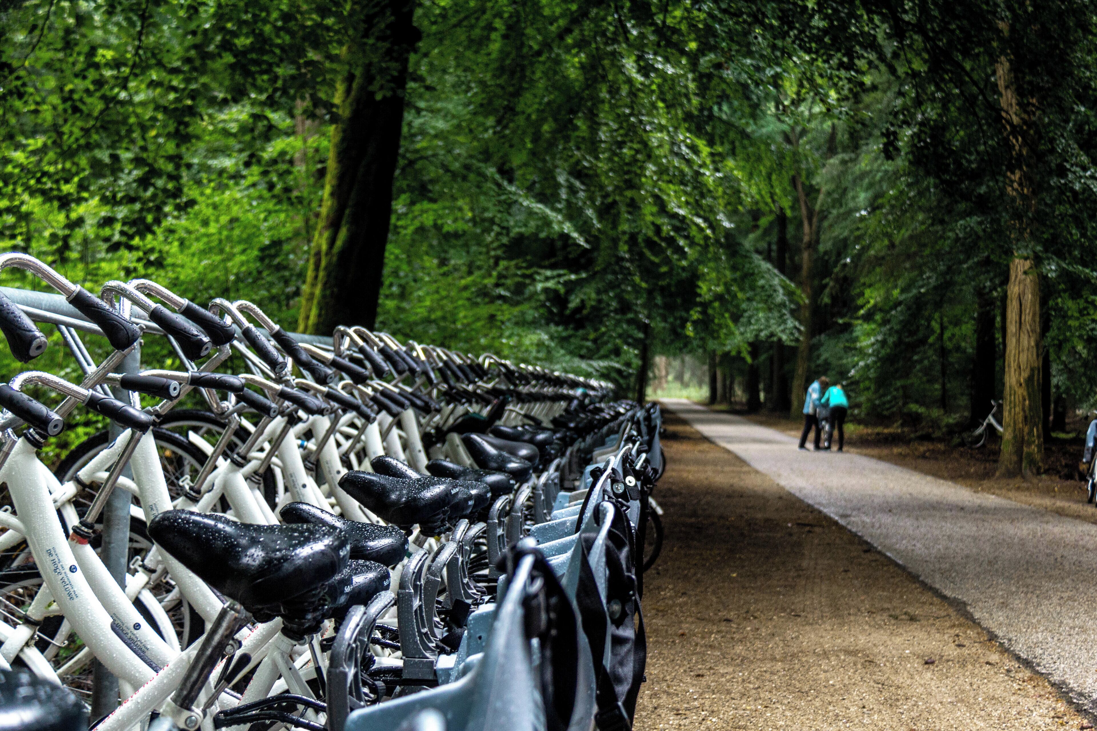 milions of typical bikes