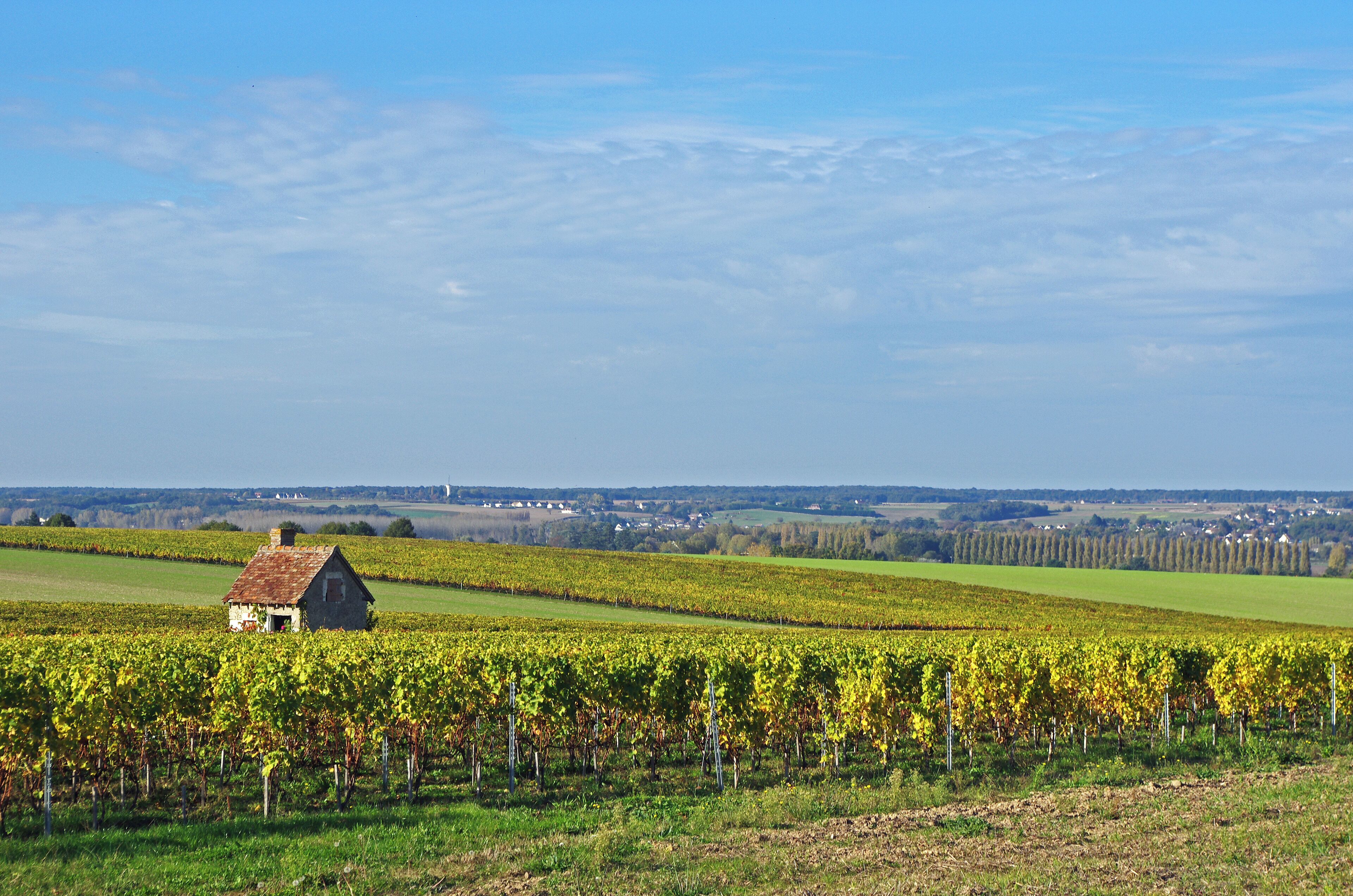 Bléré (Indre-et-Loire) Cabane de vigne. Selon les régions, et parfois dans la même région, les appellations changent. Rien qu'en Touraine : Caburoche, choquette, lubite, vide-bouteille, ou simplement cabane, etc... www.cabanesdevignes.fr/index.php?id=27&opt=pers