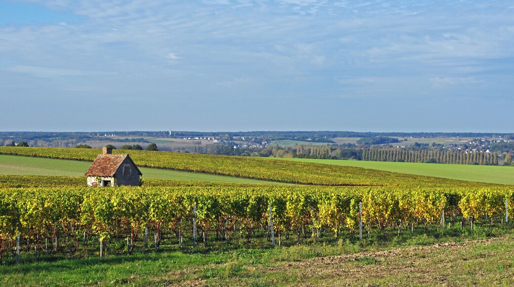 Bléré (Indre-et-Loire) Cabane de vigne. Selon les régions, et parfois dans la même région, les appellations changent. Rien qu'en Touraine : Caburoche, choquette, lubite, vide-bouteille, ou simplement cabane, etc... www.cabanesdevignes.fr/index.php?id=27&opt=pers