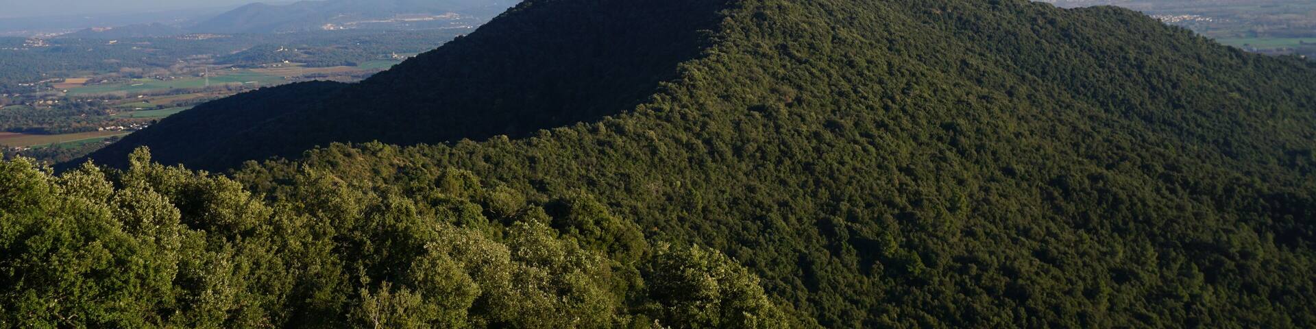 Serra de Boratuna (Muntanya de Velers) vista des del Pic d'en Carrerica