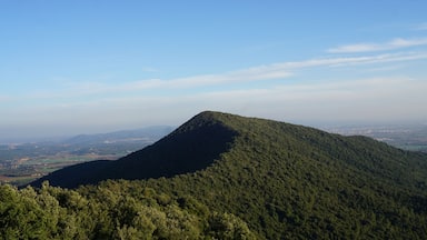 A mountain with dense forest, a clear sky, and distant cityscape.