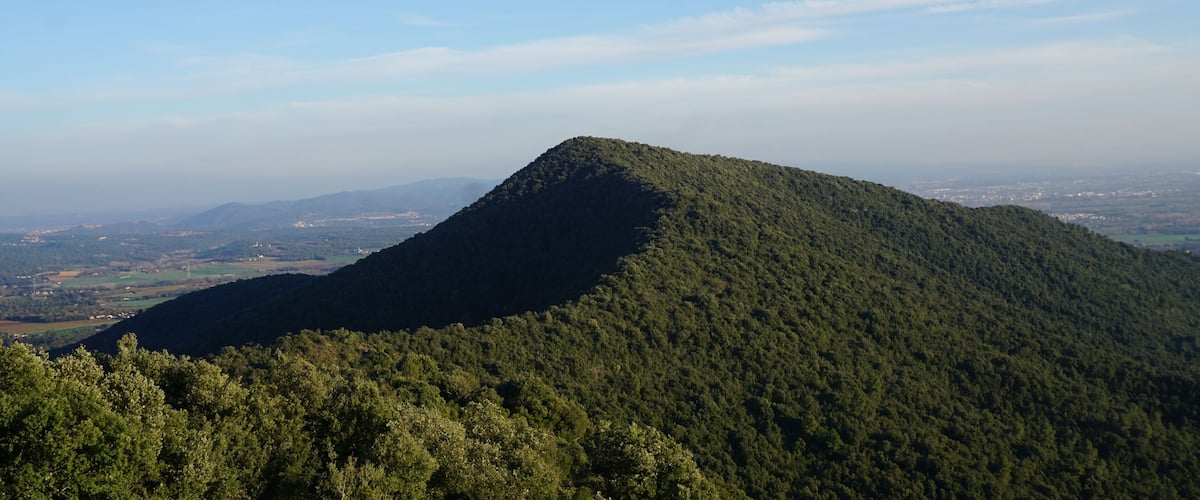 A mountain with dense forest, a clear sky, and distant cityscape.
