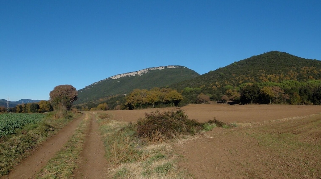 This is a a photo of a natural area in Catalonia, Spain, with id: