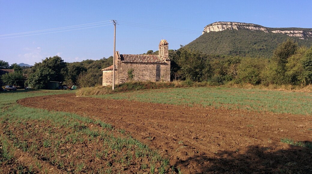 Capella de Sant Joan (Sant Martí de Llémena)