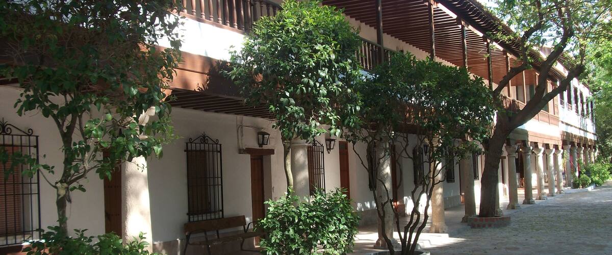 A courtyard with a wooden pergola, potted plants, and a bench.