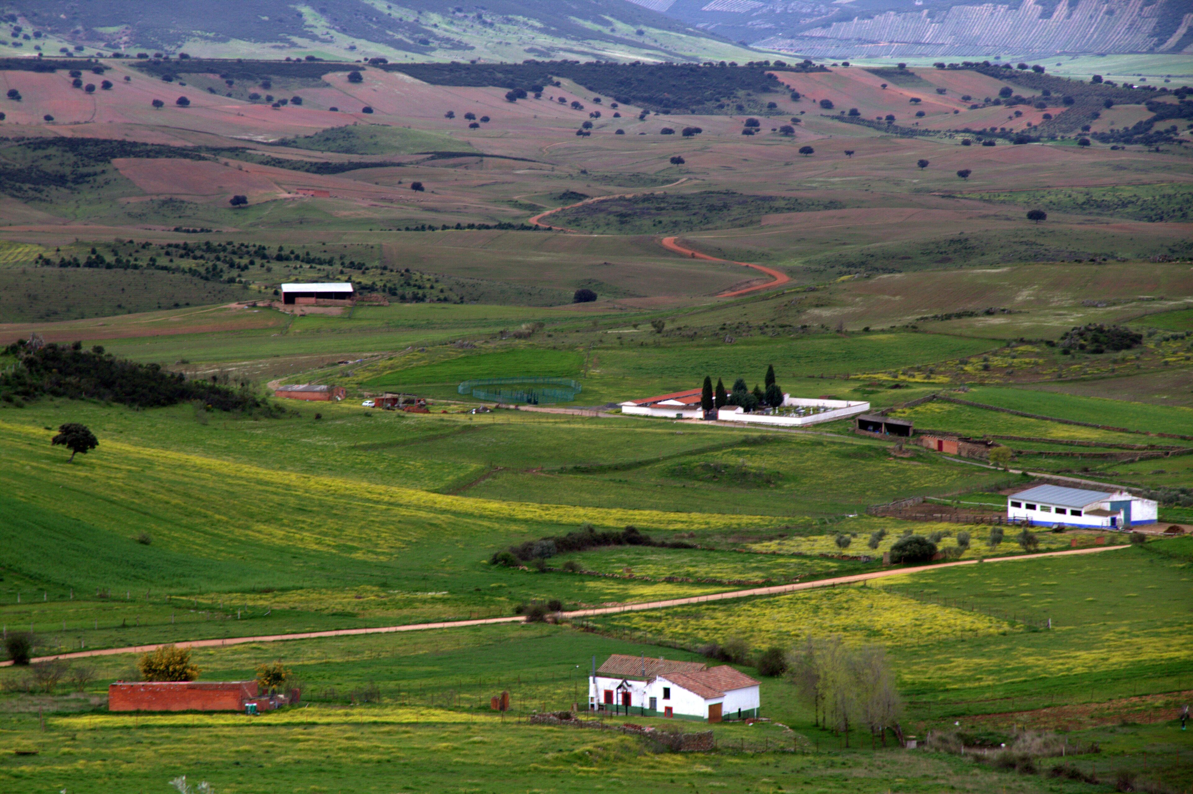 Rolling hills, a winding road, and scattered farm buildings in a rural landscape.
