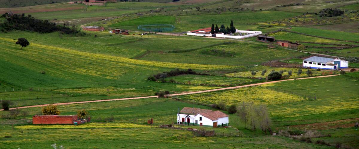 Rolling hills, a winding road, and scattered farm buildings in a rural landscape.