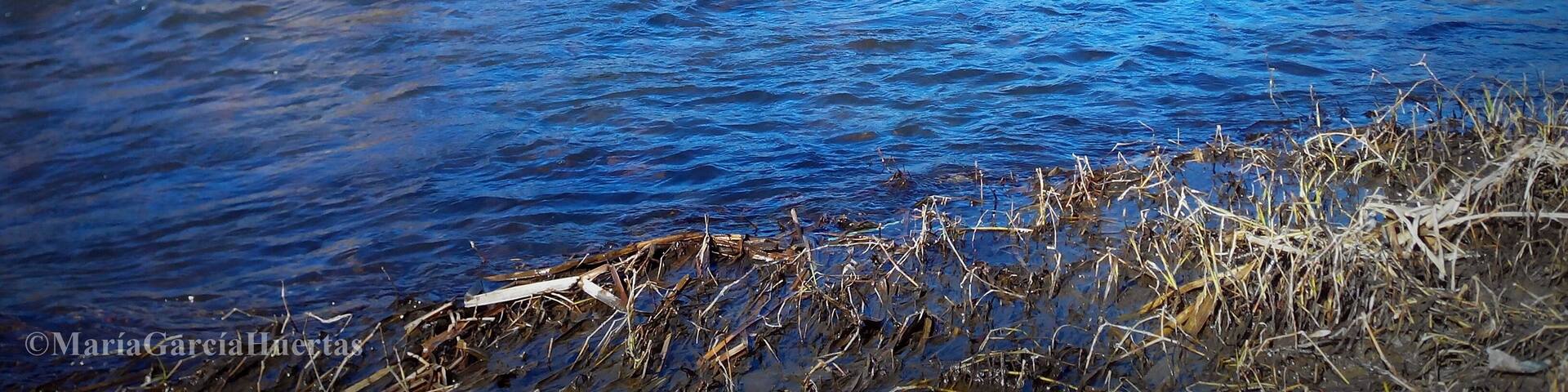 Piedras pasaderas sobre el río Guadiana, en el municipio de Luciana, Ciudad Real, España.