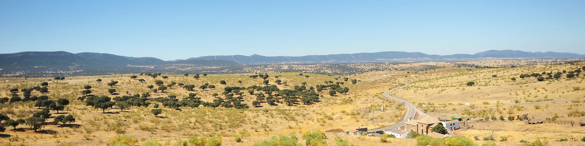 Un paisaje árido y montañoso con árboles dispersos y un camino sinuoso.