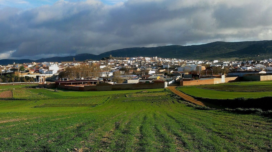 Panoramic view of Almodóvar del Campo from the cemetery road.