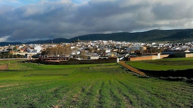Panoramic view of AlmodĂłvar del Campo from the cemetery road.