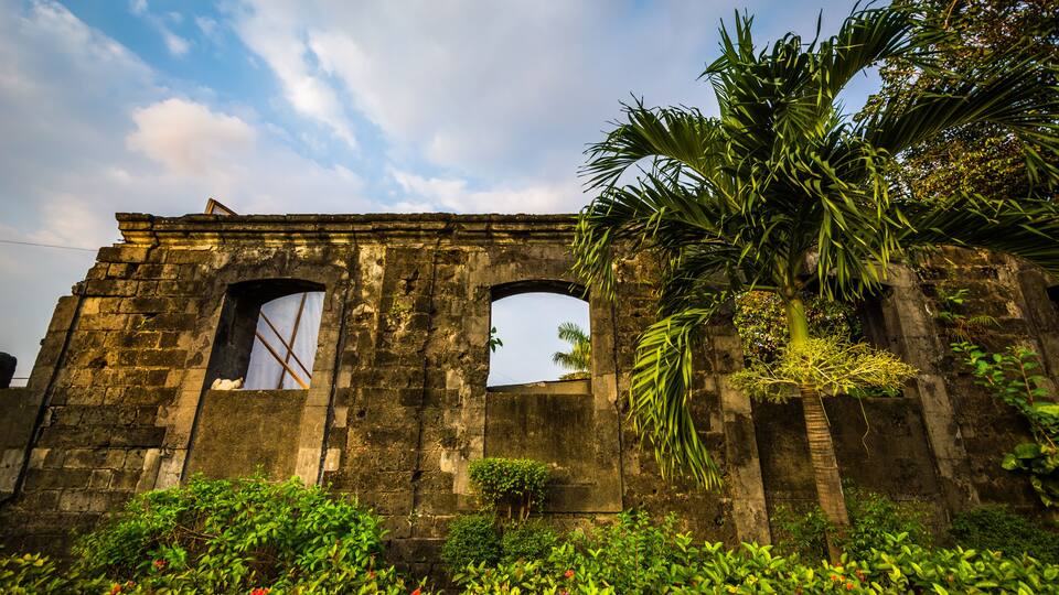 Palm tree and historic walls of Fort Santiago, in Intramuros, Ma