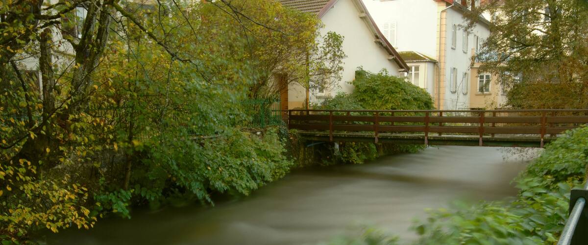 A river flowing through a town with greenery and buildings.