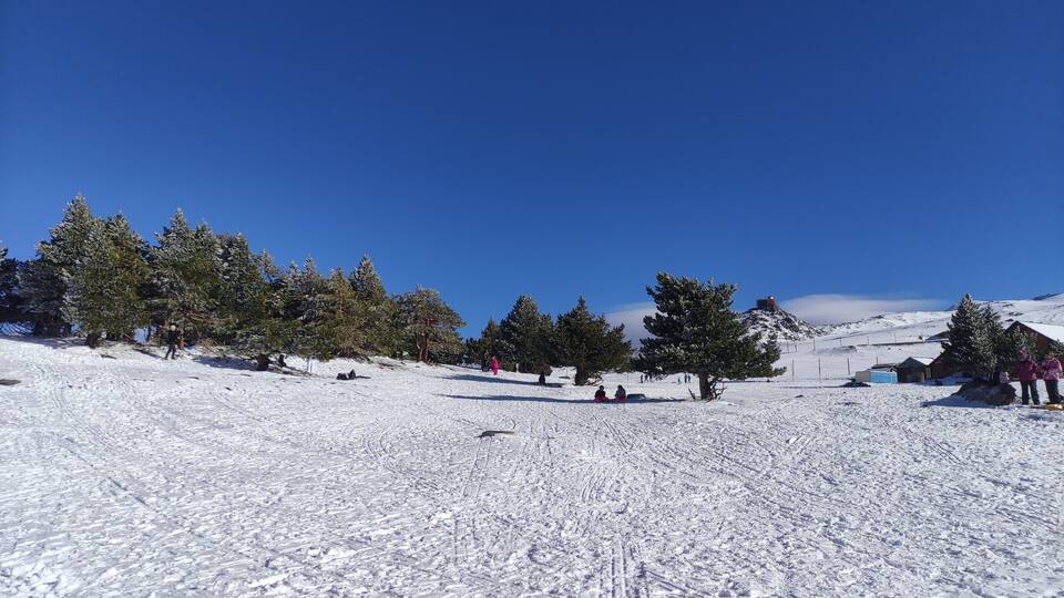 A snow-covered ski slope with trees and a clear blue sky.