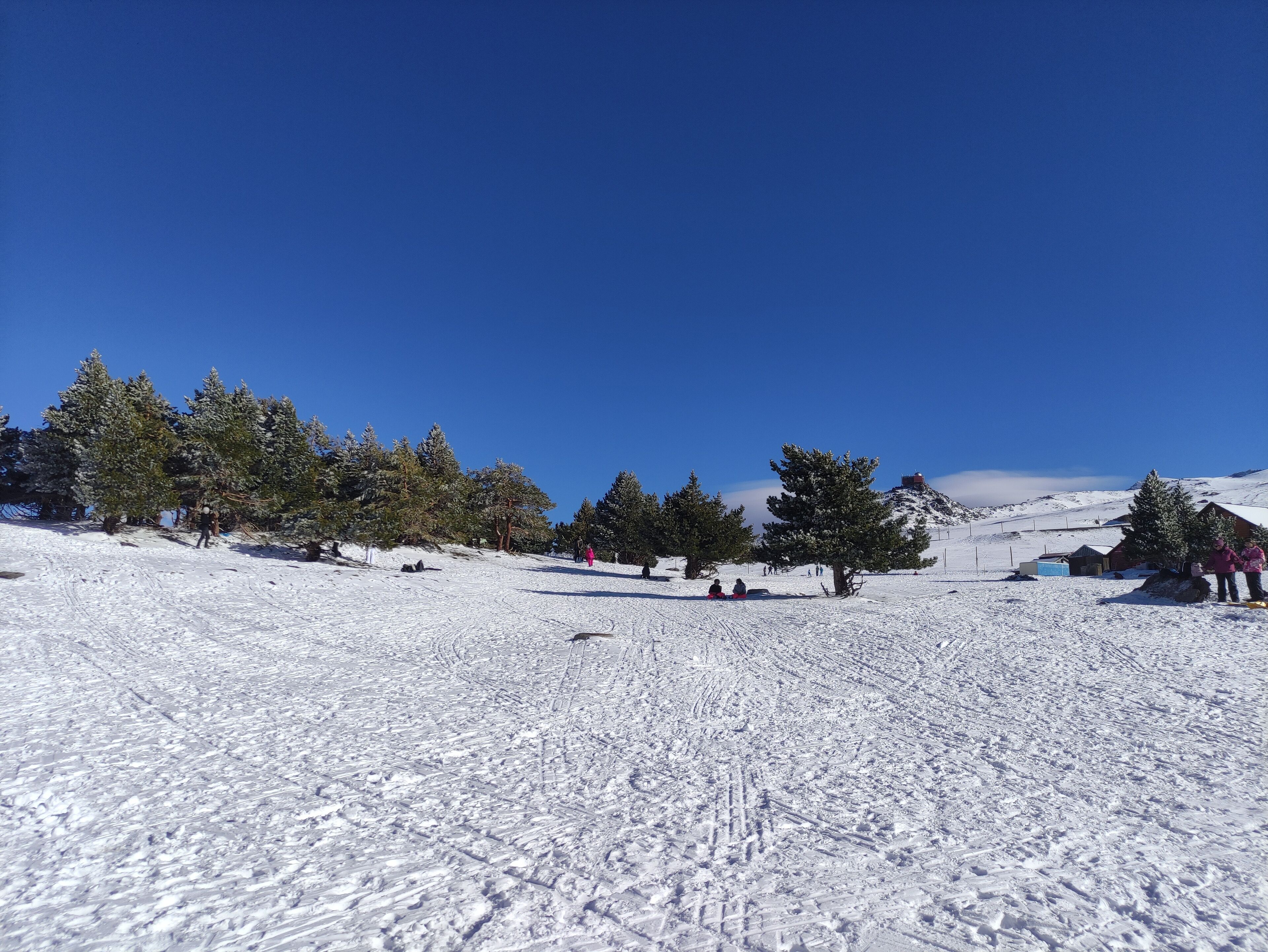A snow-covered ski slope with trees and a clear blue sky.