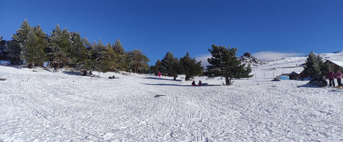 A snow-covered ski slope with trees and a clear blue sky.