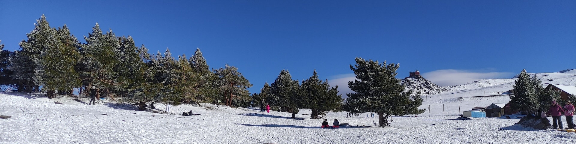 A snow-covered ski slope with trees and a clear blue sky.