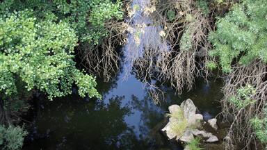 River Alagón in Santibáñez de la Sierra (Salamanca, Spain)