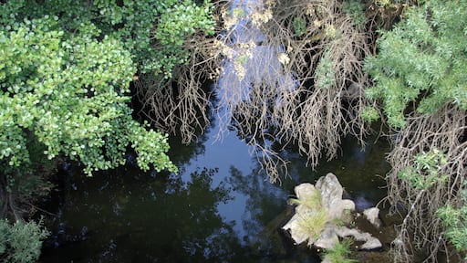 River Alagón in Santibáñez de la Sierra (Salamanca, Spain)