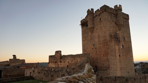 Conjunto Histórico de la Villa San Felices de los Gallegos