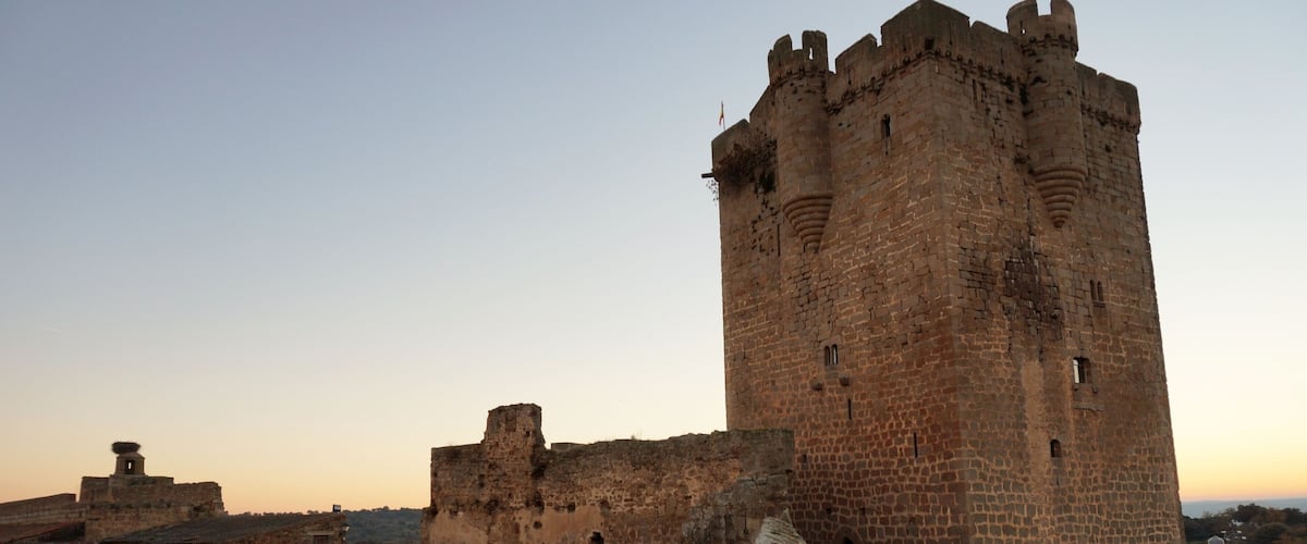 A medieval castle with a prominent tower and surrounding walls.
