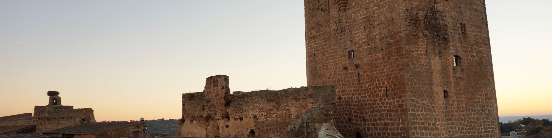 A medieval castle with a prominent tower and surrounding walls.