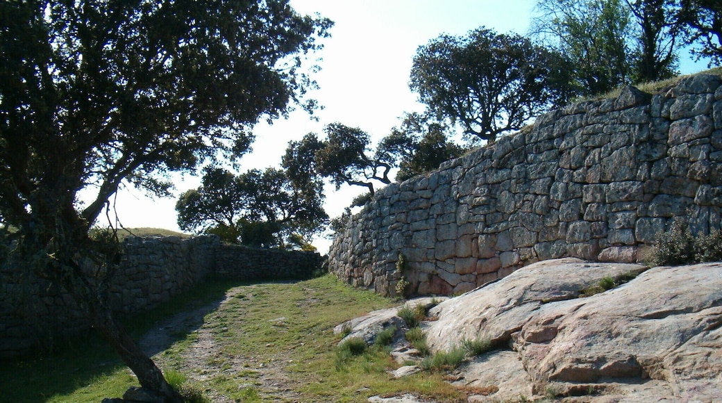 Despoblado-castro Castillo de las Merchanas