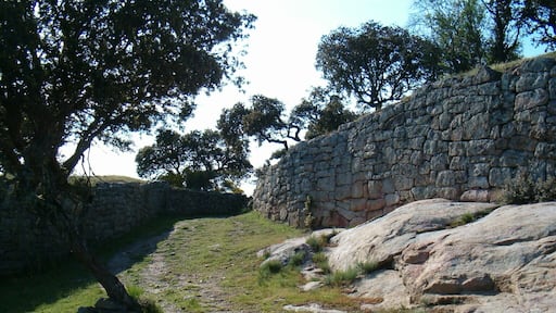 Despoblado-castro Castillo de las Merchanas