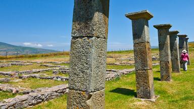 Ancient stone pillars in a grassy field with a clear sky.