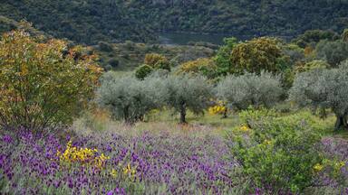 This is a photography of a Special Area of Conservation in Spain with the ID: