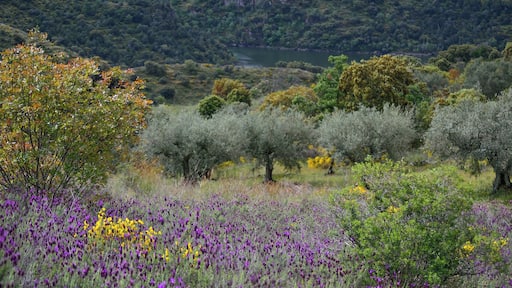 This is a photography of a Special Area of Conservation in Spain with the ID: