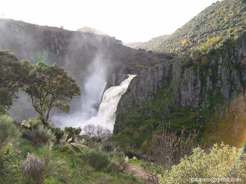 A waterfall cascading down a rocky cliff surrounded by lush greenery.